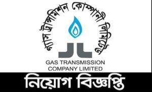 গ্যাস ট্রান্সমিশন কোম্পানি লিমিটেড