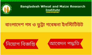 গম এবং ভূট্টা গভেষণা ইন্সটিটিউট নিয়োগ বিজ্ঞপ্তি ২০২১