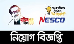 নর্দান ইলেকট্রিসিটি সাপ্লাই কোম্পানি লিমিটেড নিয়োগ বিজ্ঞপ্তি ২০২১
